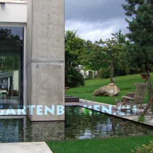 Gartenbecken 091